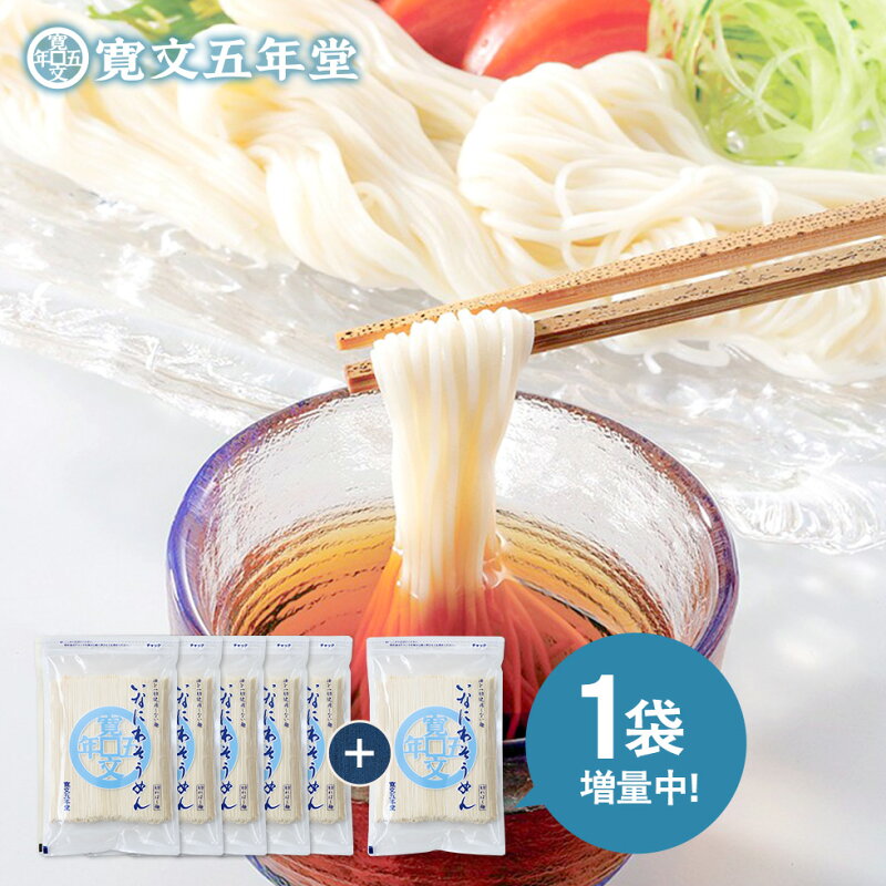 稲庭そうめん（訳あり・切れ端）